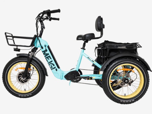 DWMEIGI MG2301 750 Watts BaFang Motor Folding Tricycle