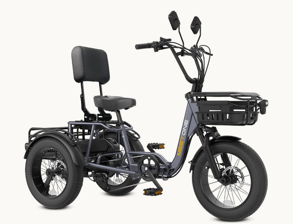 Meet One Breeze Pro Fat Tire Folding Electric Trike