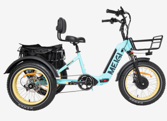 DWMEIGI MG2301 750 Watts BaFang Motor Folding Tricycle