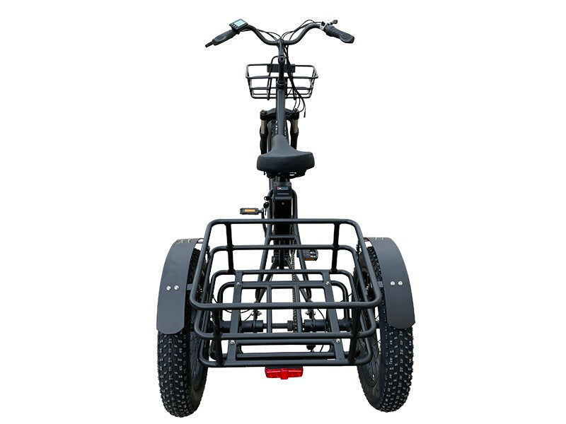 500 Watts Tricycle (Black) FT2