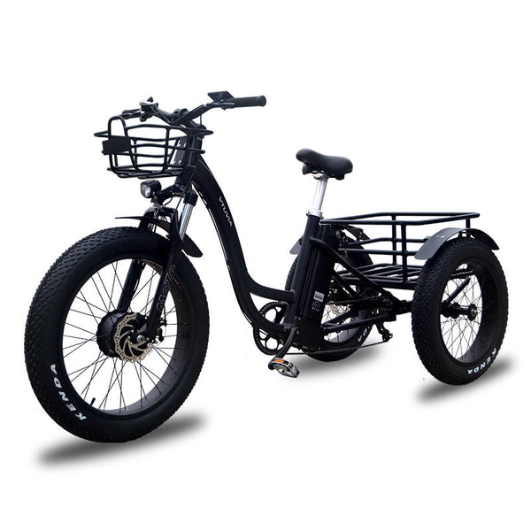 500 Watts Tricycle (Black) FT2 – AMSebikes.com